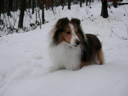 Zima 2010 020.JPG