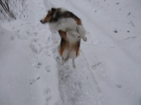 Zima 2010 030.JPG