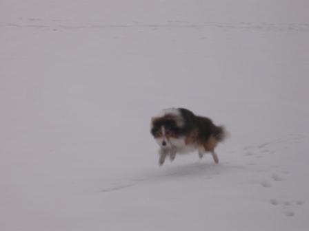 Zima 2010 037.JPG