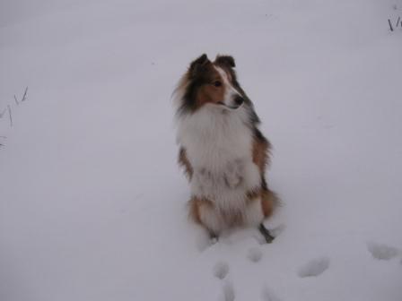 Zima 2010 056.JPG