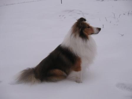 Zima 2010 058.JPG
