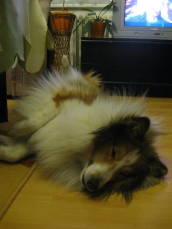 IMG_3678.JPG