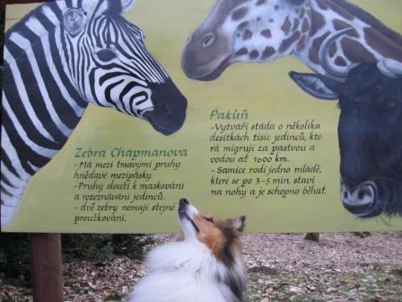 ZOO 029.JPG