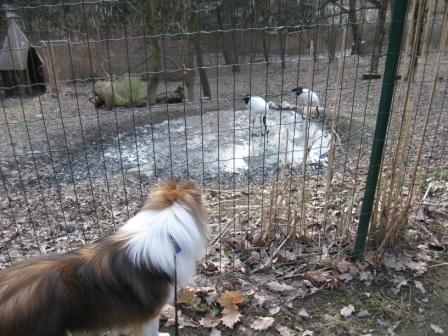 ZOO 059.JPG