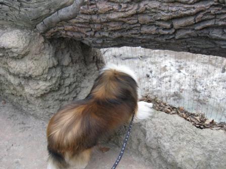 ZOO 083.JPG