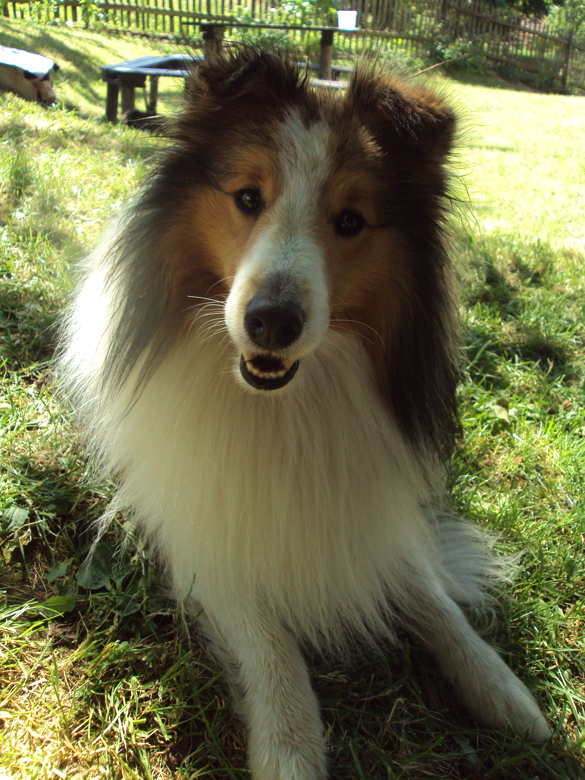DSC00078.JPG