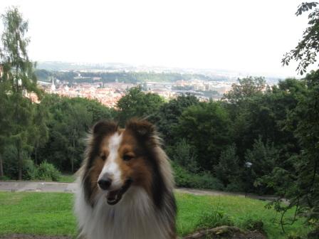 Beroun+Praha 385.JPG