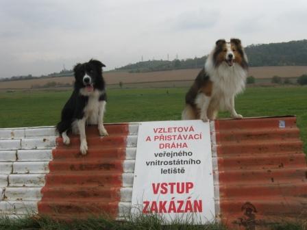 puldenak. medlanky 013.JPG