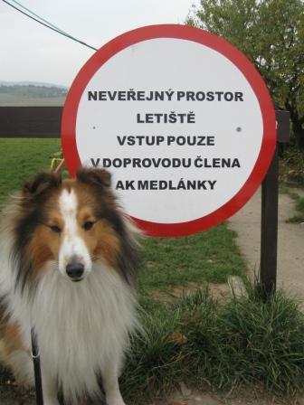 puldenak. medlanky 070.JPG