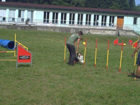 285267_231048160260652_100000664088521_739677_8261086_n – kopie