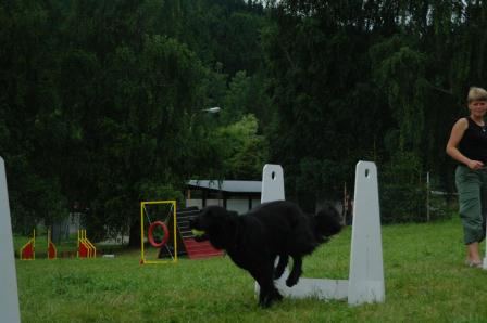 SAM_5103 – kopie