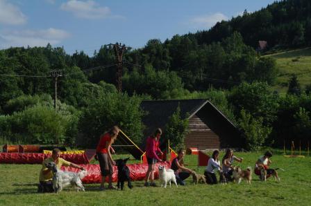 SAM_5203 – kopie