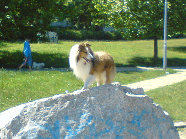 DSC00120.JPG