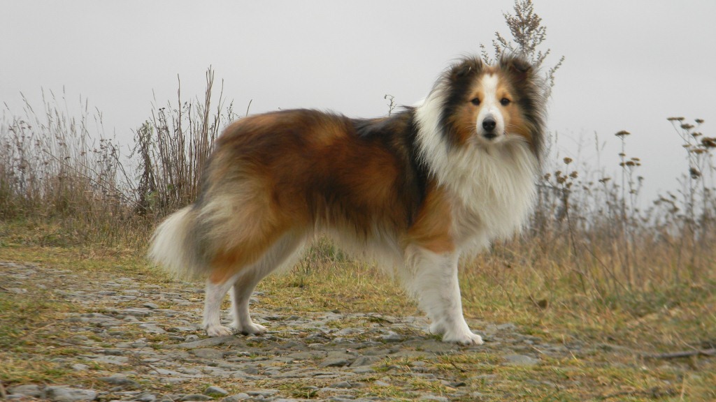 076 – kopie