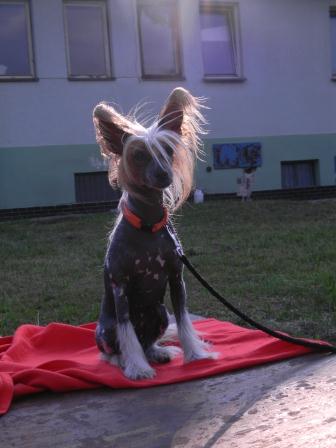LVT Svojanov 2012 174 – kopie