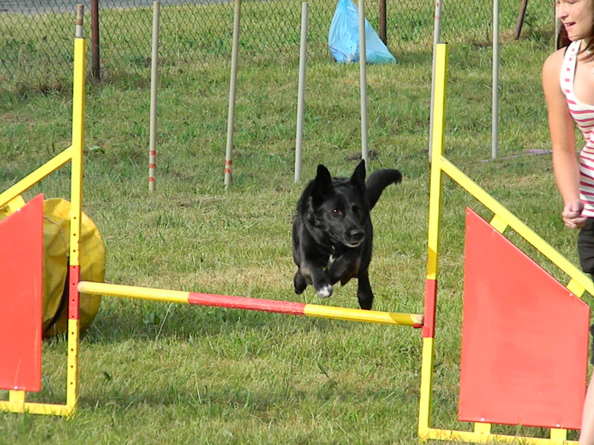 LVT Svojanov 2012 930 – kopie
